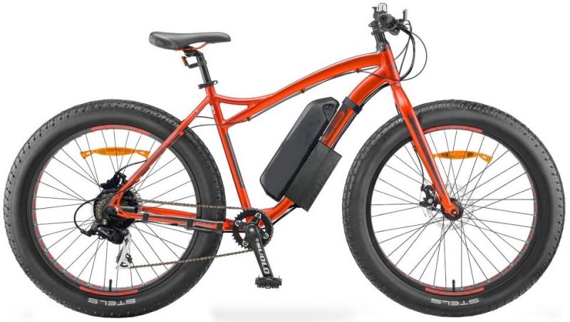 Электровелосипед Ecobike Stels Agressor 750W 48V 20Ah Электровелосипед Ecobike Stels Agressor 750W 48V 20Ah